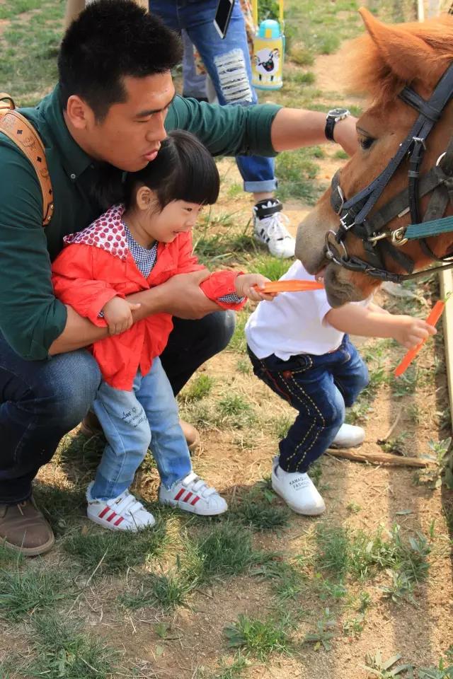 帥帥的馬兒，我們交個(gè)朋友吧