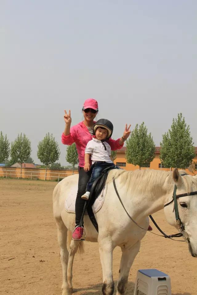 帥帥的馬兒，我們交個(gè)朋友吧