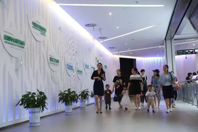 NYC紐約國際江蘇宿遷金鷹中心：活動回顧丨我的城市我的家，我是城市的小主人