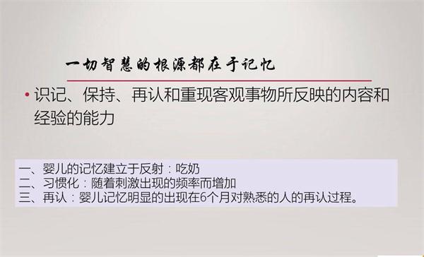 NYC紐約國際早教微課回顧：寶寶的記憶力需要被保護
