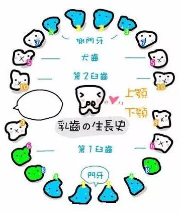 NYC紐約國際浙江余姚萬達(dá)早教中心：【活動(dòng)回顧】我是小小牙醫(yī)