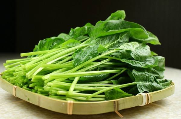 孩子秋季長(zhǎng)個(gè) 必吃食譜推薦