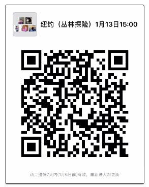 nyc叢林探險