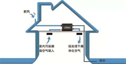 瑞典VARKI凈松新風進入NYC國際早教