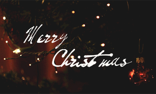 NYC紐約國際溫州鹿城早教中心：Merry Christmas~圣誕活動預約中……