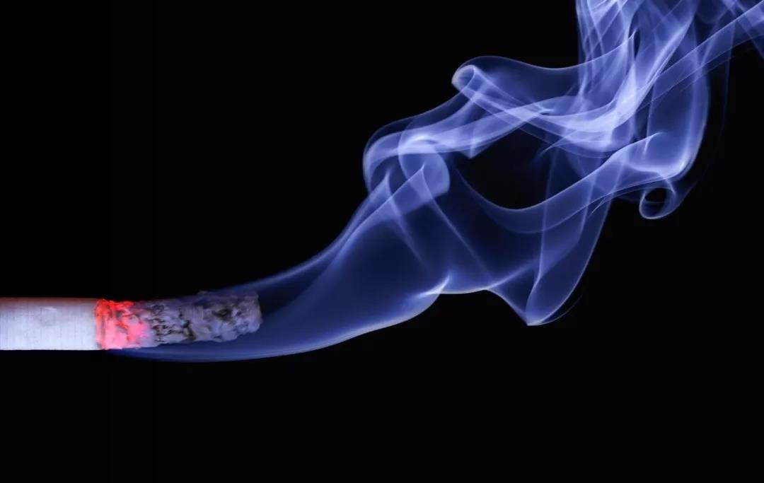 NYC紐約國際舊宮早教中心：請不要再因為吸煙，害了孩子。