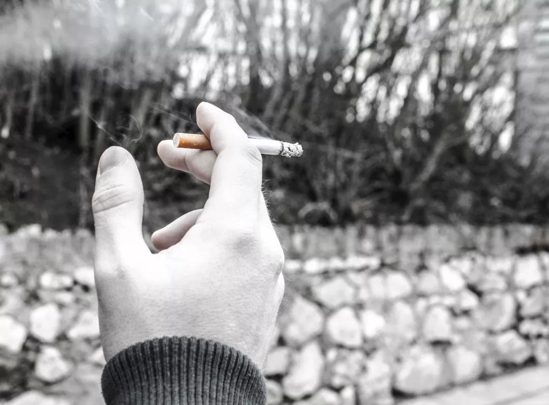 NYC紐約國際舊宮早教中心：請不要再因為吸煙，害了孩子。