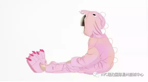 NYC紐約國際溫州鹿城早教中心：課程早知道~下周預告來報到啦~（2.25~3.3）