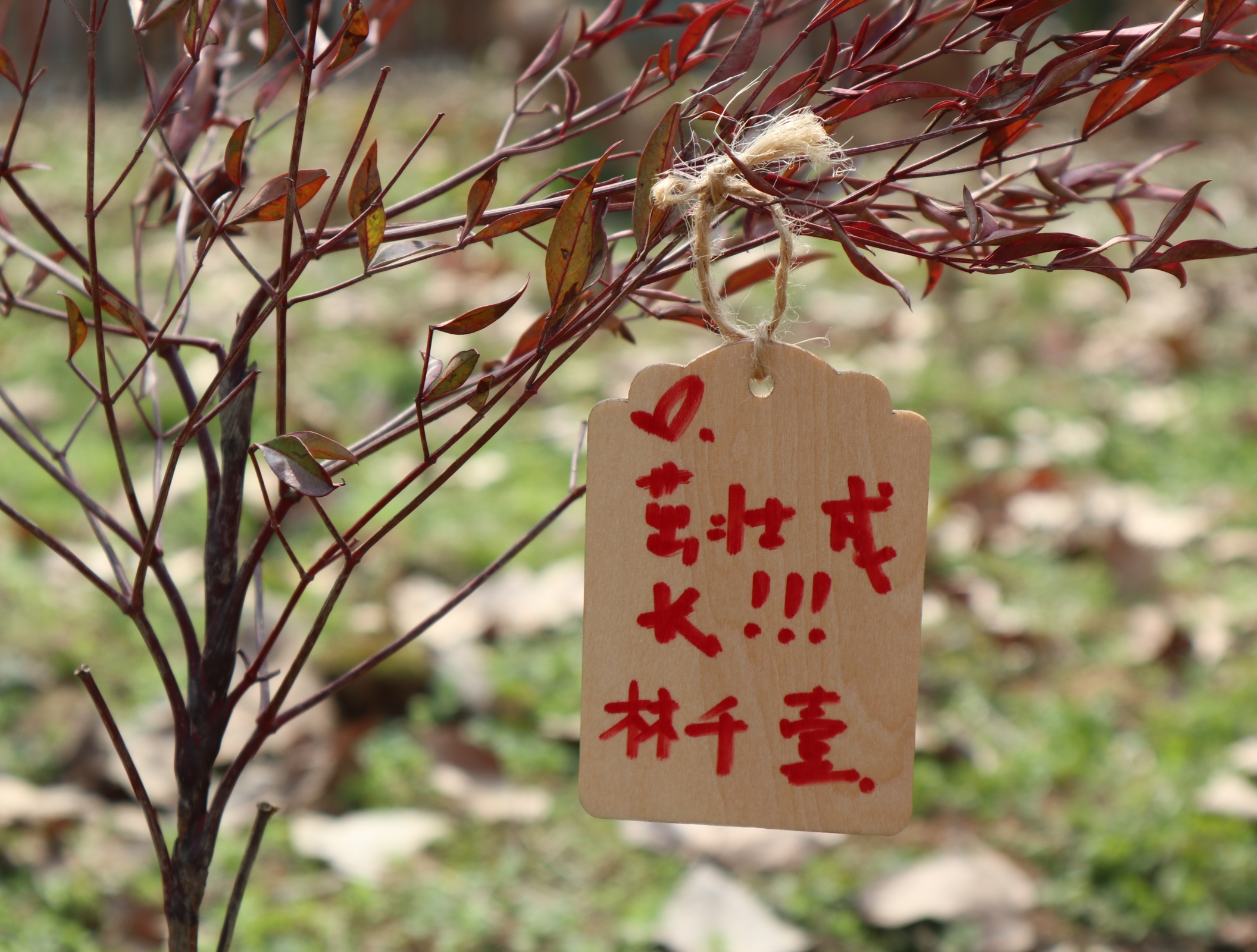 武漢漢陽(yáng)早教中心