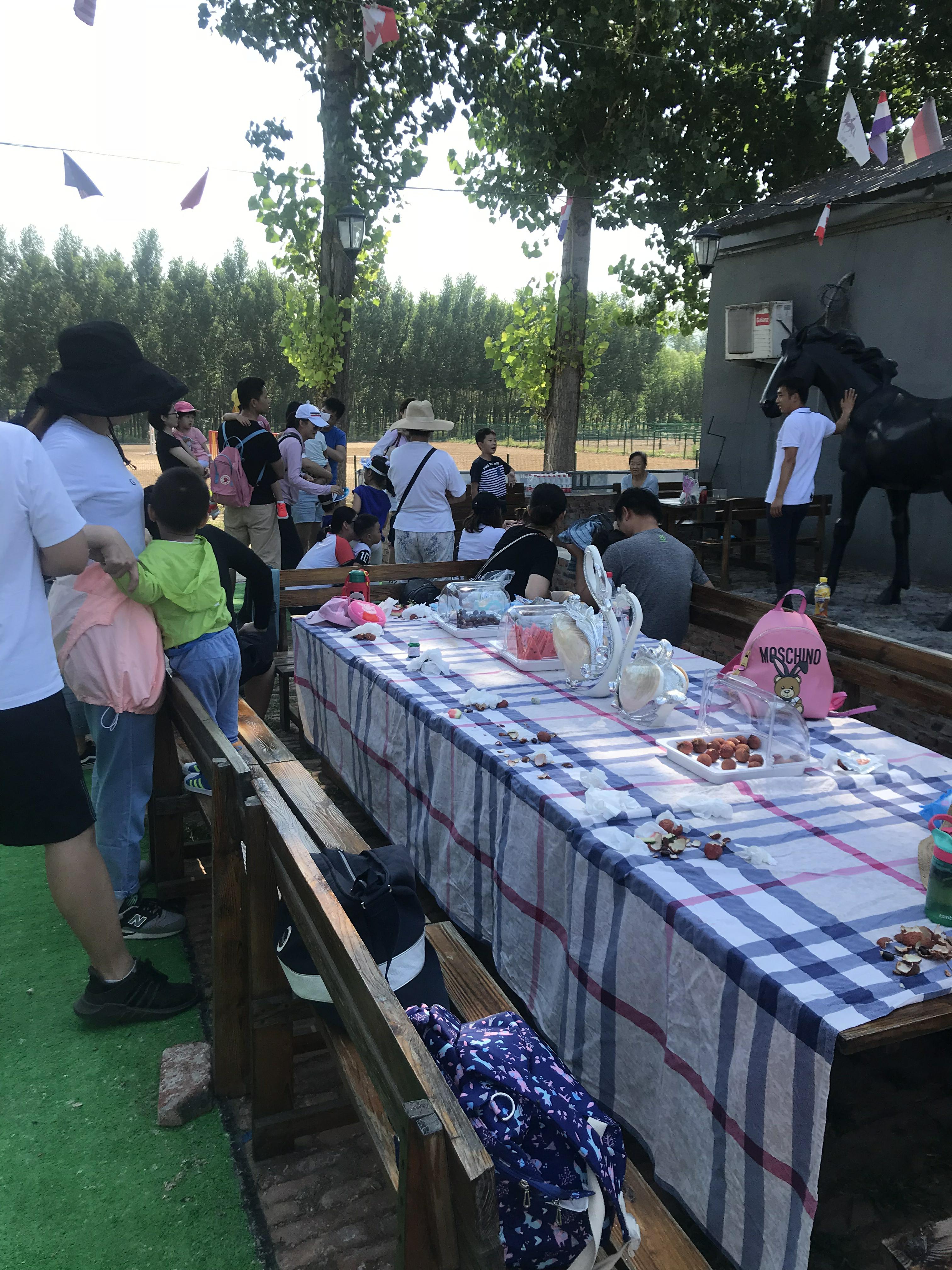 NYC紐約國際兒童俱樂部平谷早教中心：火爆活動(dòng)之《小小馬術(shù)師》活動(dòng)回顧